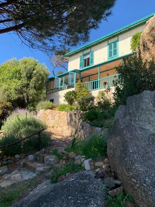 Tatil Evi Stunning Boulders Beach House - Simonstown, Cape Cape Town Güney Afrika