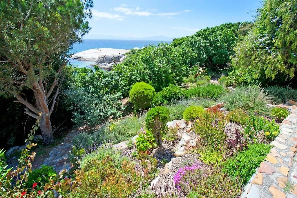 Stunning Boulders Beach House - Simonstown, Cape Cape Town Güney Afrika