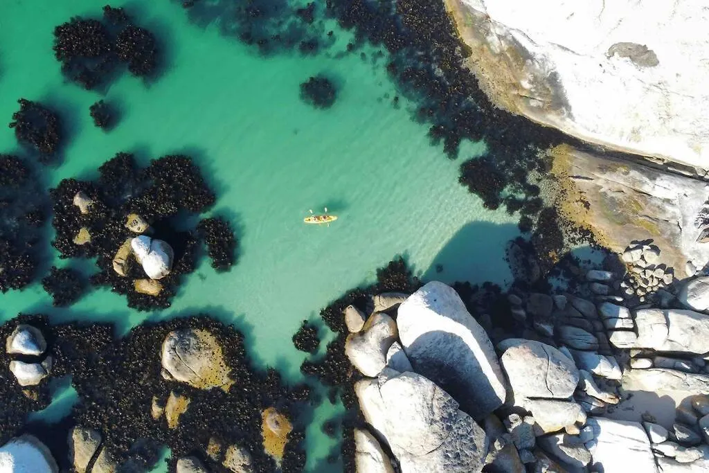 Stunning Boulders Beach House - Simonstown, Cape Cape Town Tatil Evi