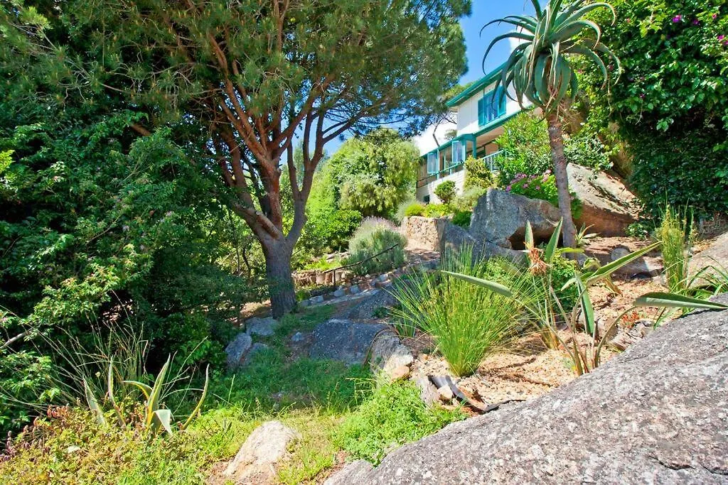 Stunning Boulders Beach House - Simonstown, Cape Cape Town 0*,  Güney Afrika